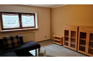 Wohnung mieten in 63543 Neuberg, Freundliche und gepflegte 2-Zimmer-Souterrain-Wohnung in Neuberg