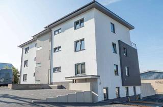 Penthouse mieten in 57610 Altenkirchen, Penthousewohnung mit Blick über die Stadt
