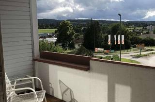 Wohnung mieten in Grünewaldstr., 78532 Tuttlingen, Modern möblierte 1 Zimmer Wohnung mit Balkon und neuer Küche