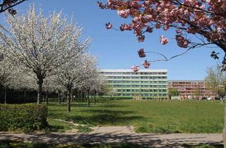 Wohnung mieten in Albert-Schweitzer-Ring, 06406 Bernburg, Schöne 3-R-Wohnung mit Dusche im 2. Geschoss