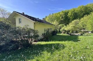 Haus kaufen in Am Meiernberge 15, 31868 Ottenstein, Traumhaftes Liebhaberobjekt mit riesigem Naturgrundstück