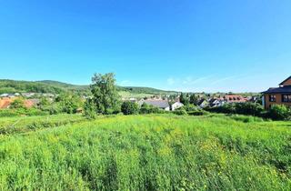 Bauernhaus kaufen in 76889 Oberotterbach, Bauernhof mit Entwicklungspotential – über 4.000 m² – grandiose Fernsicht!