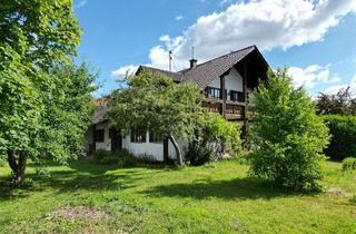 Einfamilienhaus kaufen in 86856 Hiltenfingen, Freistehendes Einfamilienhaus mit Einliegerwohnung in Hiltenfingen