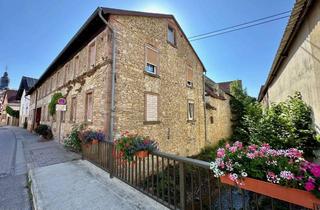 Bauernhaus kaufen in Brückenstr. 11, 67294 Gauersheim, Bauernhof mit 2 Wohnungen