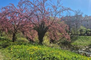Garagen mieten in Schwarzwaldstraße 15, 79117 Freiburg, Doppelgarage mit zwei Stellplätzen in Freiburg - Schwarzwaldstraße 15, Nahe Schwabentor & Dreisam