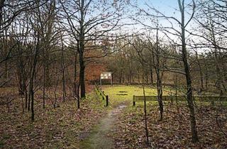 Grundstück zu kaufen in 21435 Stelle, Grundstück in 21435 Stelle OT Ashausen, am Büllhorner Weg