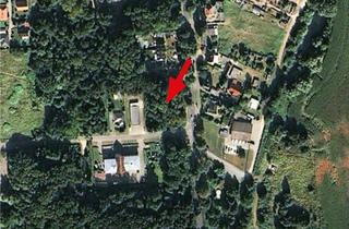 Grundstück zu kaufen in 18356 Barth, Waldfläche in 18356 Barth, Chausseestraße (L 23), Ecke Divitzer Weg