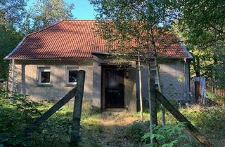 Haus kaufen in 14827 Wiesenburg, ***Lage,Lage,Lage***Haus im Wald, wo sich Fuchs und Hase gute Nacht sagen