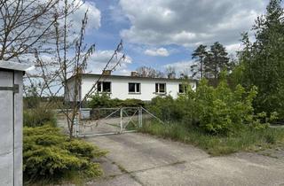 Mehrfamilienhaus kaufen in 01945 Frauendorf, Charmanter Bungalow in ruhiger Lage bei Dresden – halbe Einheit 150.000€ oder komplett für 250.000€
