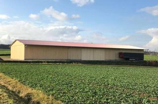 Gewerbeimmobilie kaufen in 93107 Thalmassing, Landwirtschaftliche Mehrzweckhalle m. PV-Anlage im südl. Landkreis Regensburg!