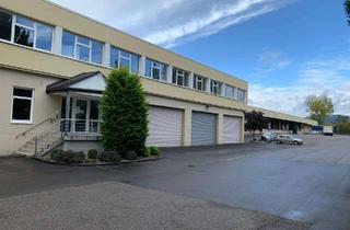 Büro zu mieten in Venningerstraße, 67480 Edenkoben, TRIWO Gewerbepark Edenkoben: Lagerhalle mit Bürofläche ca. 8.240m²