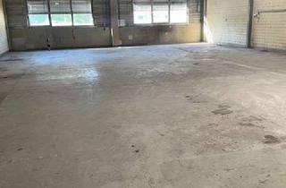 Gewerbeimmobilie mieten in Dr.-Werner-Freyberg-Straße, 69514 Laudenbach, TRIWO Gewerbepark Laudenbach: Hallenfläche mit ca. 247 m²