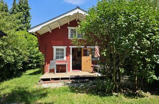 Anlageobjekt in 56291 Pfalzfeld, *HTR* Original importiertes Schwedenhaus, ein Paradies im Hunsrück!