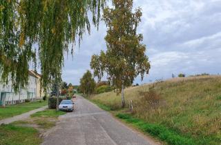 Grundstück zu kaufen in Brunnenstraße 11, 18279 Langhagen, Baugrundstücke: Einfamilienhaus mit Einliegerwohnung im idyllisch mecklenburgischen Luftkurort