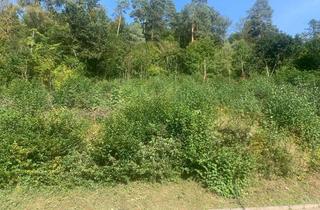 Grundstück zu kaufen in 75378 Bad Liebenzell, Bauplatz mit genehmigter Bauvoranfrage und einzigarter Aussicht auf Bad Liebenzell