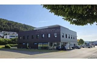 Büro zu mieten in Am Freizeitzentrum, 78194 Immendingen, Büro - Schulungsräume in Immendingen