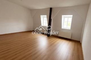 Wohnung mieten in 06217 Merseburg, Großzügige 1-Zimmer-Wohnung frisch renoviert mit Traumblick