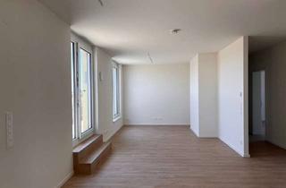Wohnung mieten in Heldburger Straße, 13055 Alt-Hohenschönhausen, Licht, Luft, Lebensqualität- DG Traum - 3-Zi-Wohnung mit Terrasse