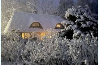 Haus kaufen in 25876 Ramstedt, NATUR PUR: Charmante Reetdachkate in reizvoller Lage mit tollem Gartenareal - Landzukauf möglich !