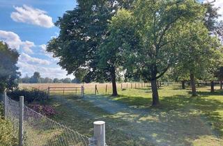 Bauernhaus kaufen in 41836 Hückelhoven, Bauernhof auf 16.802 m² Grundstück, ein Traum für jeden Pferdeliebhaber mit 2 getrennte Häuser