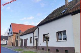 Haus kaufen in Wilhelmstraße 10, 06308 Benndorf, Doppelhälfte in Benndorf/ Klostermannsfeld Vermittlung von Darlehen ( auch SCHUFA-Einträge) möglich