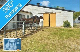 Lager kaufen in 24159 Holtenau, Reitanlage // ca. 20 x 60 m Halle // 56 Boxen // 24159 Kiel // FREI // top Anbindung // kurze Wege