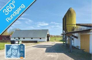 Lager kaufen in 24159 Holtenau, * bezugsfrei * // Reitanlage der kurzen Wege! // ca. 20 x 60 m Halle // 56 Boxen // top Anbindung
