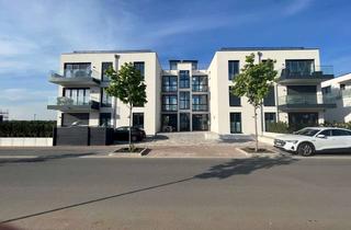Wohnung mieten in Neugraben 10, 68526 Ladenburg, Kfw 55 Neubauwohnung 3 ZKB mit Balkon in Ladenburg