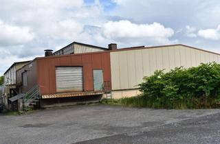Gewerbeimmobilie kaufen in 33014 Bad Driburg, Bad Driburg - Vielseitige Produktion und Lagerhalle