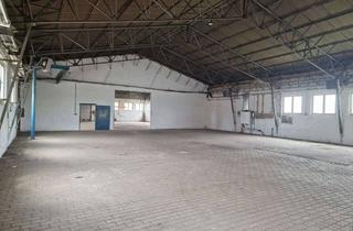 Büro zu mieten in Güstener 18, 06449 Aschersleben, Industriehalle mit Büro und Sozialräumen im MCE Industriepark