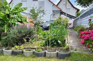 Mehrfamilienhaus kaufen in 63322 Rödermark, Rödermark - Freistehendes Mehrfamilienhaus,gepflegt,Super Garten mit Koiteich