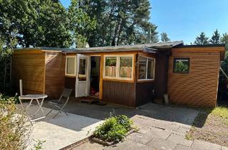 Haus kaufen in 29456 Hitzacker, Hitzacker (Elbe) - Tiny House 40 qm bei Hitzacker auf Pachtgrundstück