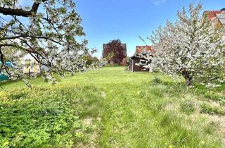Einfamilienhaus kaufen in 21635 Jork, Jork - Freistehendes Viebrockhaus auf 1825 m² Traumgrundstück in 2. Reihe!