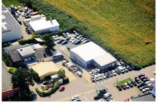 Gewerbeimmobilie kaufen in Eichelweg 17, 69168 Wiesloch, Gewerbeobjekt Wiesloch: Halle, großer Hof, sep. Whg., umzäunt, ideal für Lager/Werkstatt/Logistik