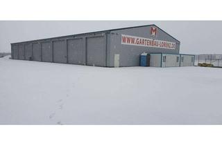 Gewerbeimmobilie mieten in 31515 Wunstorf, Gewerbehalle Halle Lagerhalle Stellfläche zu vermieten Nähe A2 Wunstorf B441