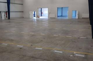 Büro zu mieten in 87480 Weitnau, Produktionshalle / Logistikhalle Lagerhalle Werkstatthalle 900 qm +120 qm Büro o. Wohnung Allgäu