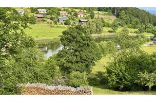 Wohnung kaufen in 79875 Dachsberg, Helles Studio, 1,5 ZKB, Balkon mit fantastischer Aussicht in Dachsberg