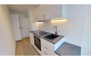 Wohnung mieten in Neubau 21, 18246 Steinhagen, Ab Oktober frei! Hochwertig sanierte 1-Zimmer-Wohnung mit Einbauküche