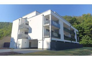 Wohnung mieten in Dachsenhäuser Strasse, 56338 Braubach, Neubau Etagenwohnung in Braubach