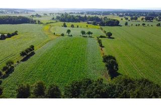 Immobilie kaufen in 25795 Weddingstedt, Rund 3 ha Ackerland (arrondiert) in Weddingstedt zu verkaufen