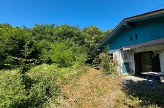 Haus kaufen in 93192 Wald, Wald - Haus im Grünen