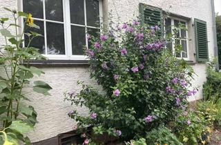Wohnung mieten in Brunnenstraße 19, 34369 Hofgeismar, Hofgeismar-Brunnenstraße, großzügige 3,5-Zimmer-Wohnung im Erdgeschoss