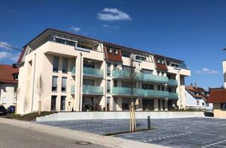Wohnung mieten in 76887 Bad Bergzabern, Mietwohnung mit Terrasse und kleinem Privatgarten-im Zentrum
