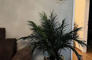 Wohnung mieten in 21680 Stade, Große 4- Zimmer Wohnung - nähe Stadtzentrum