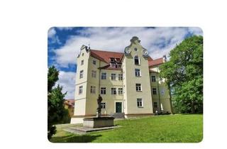 Wohnung mieten in 88453 Erolzheim, Traumhaftes Wohngefühl in frisch renovierter Schlosswohnung
