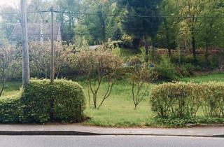 Grundstück zu kaufen in 01737 Tharandt, Bauplatz für EFH in Tharandt Innenstadt