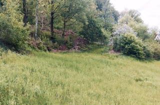 Grundstück zu kaufen in 01737 Tharandt, Grundstück mit Baugenehmigung für EFH in Tharandt