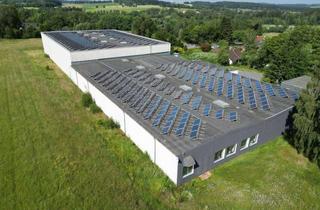 Gewerbeimmobilie kaufen in 95234 Sparneck, energieeffizientes, vielseitiges Gewerbeareal