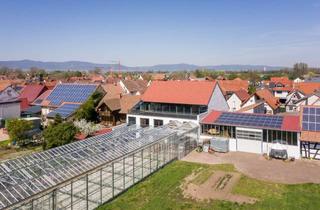 Gewerbeimmobilie mieten in Hauptstr. 95, 67482 Böbingen, Geräumiges Gewächshaus in Böbingen – Ideal für kreative Projekte, Anbau & Events!