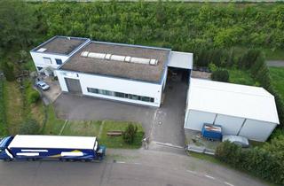 Büro zu mieten in 75428 Illingen, Bestehende Produktions-/Lagerhalle + Bürogebäude im Gewerbegebiet - 24/7 – ab sofort zu vermieten